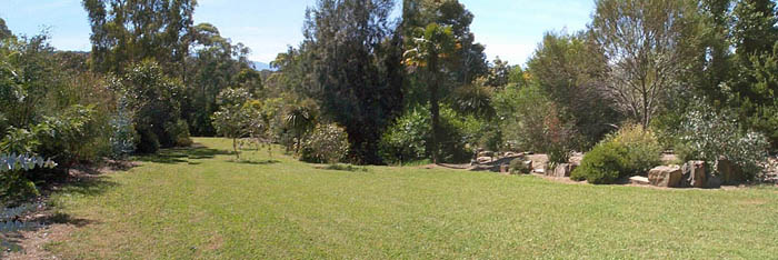 duckpond garden